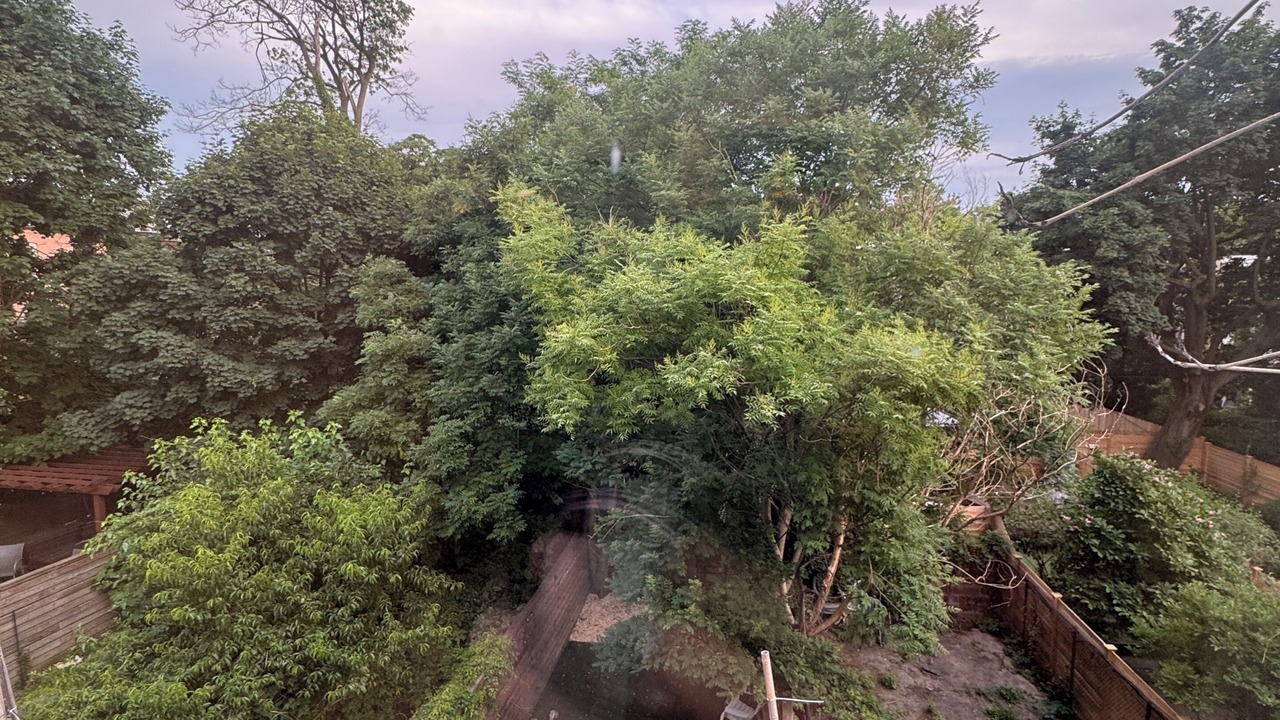 Photo of Outdoor in Crown Heights