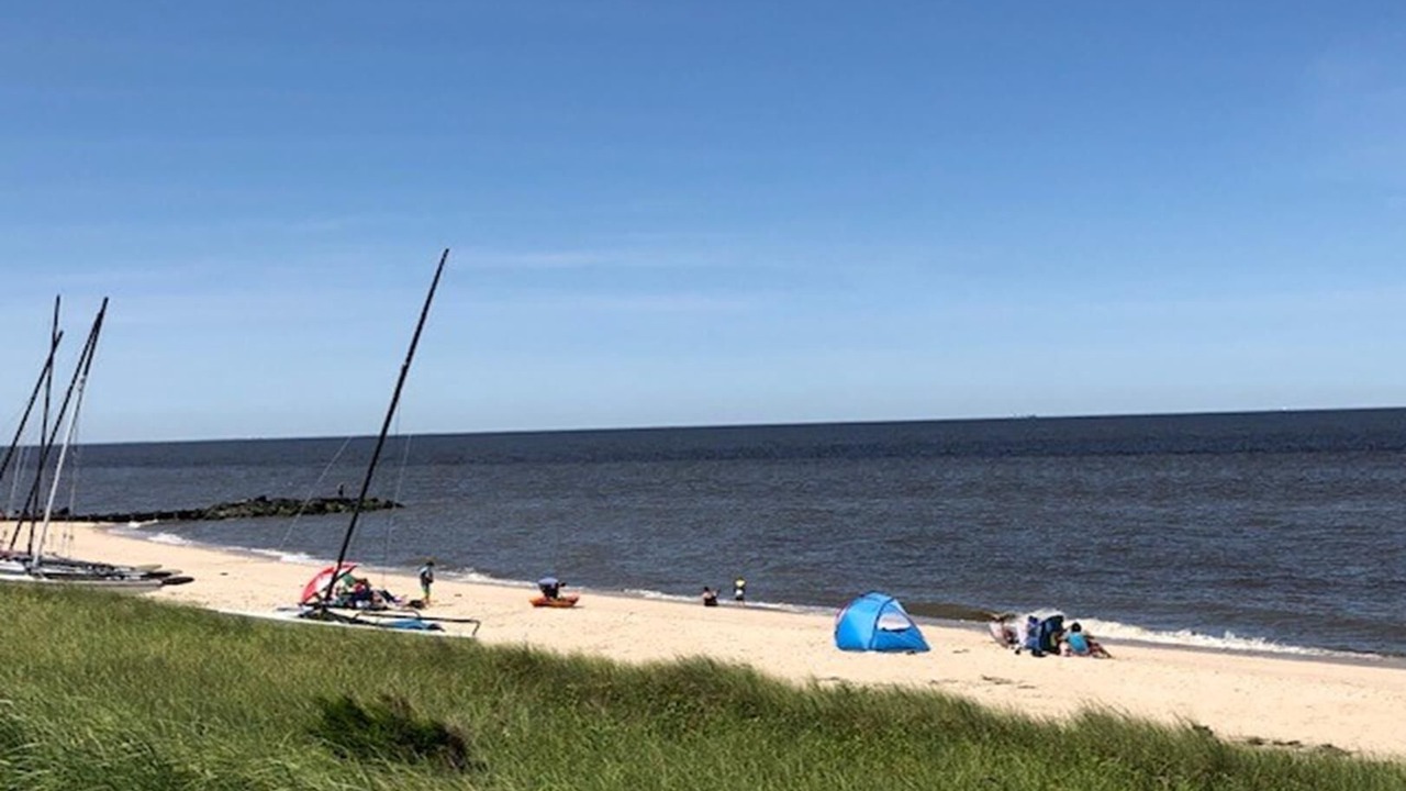 Photo of Others in North Cape May
