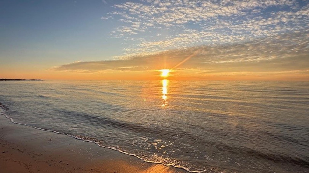 Photo of Others in North Cape May