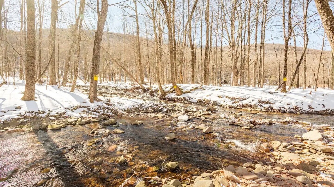 Photo of Others in Edgewood