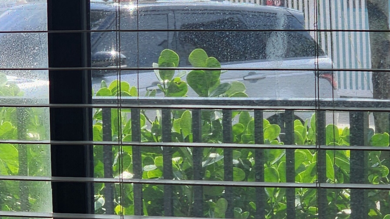 Photo of Others in Hollywood
