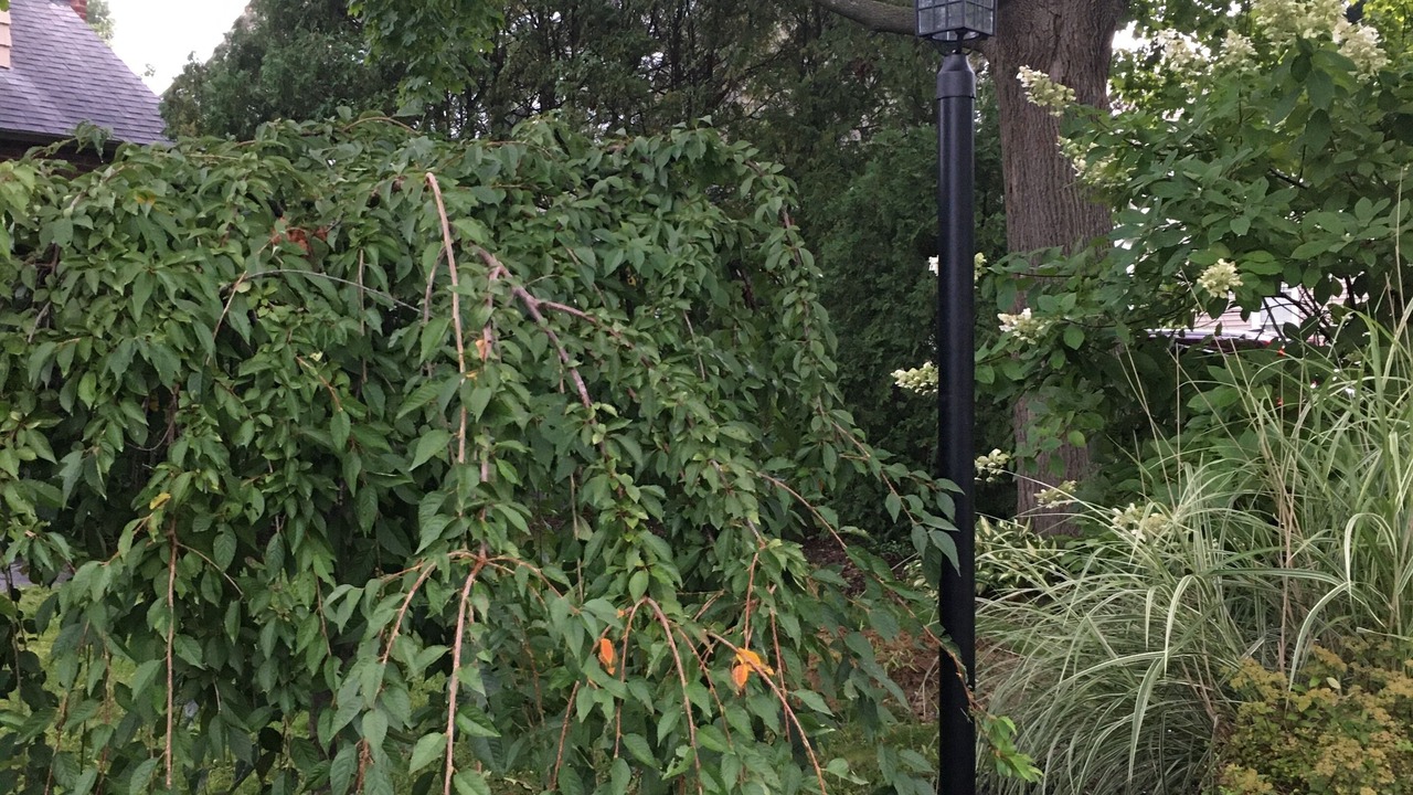 Photo of Outdoor in Buckingham Lake - Crestwood