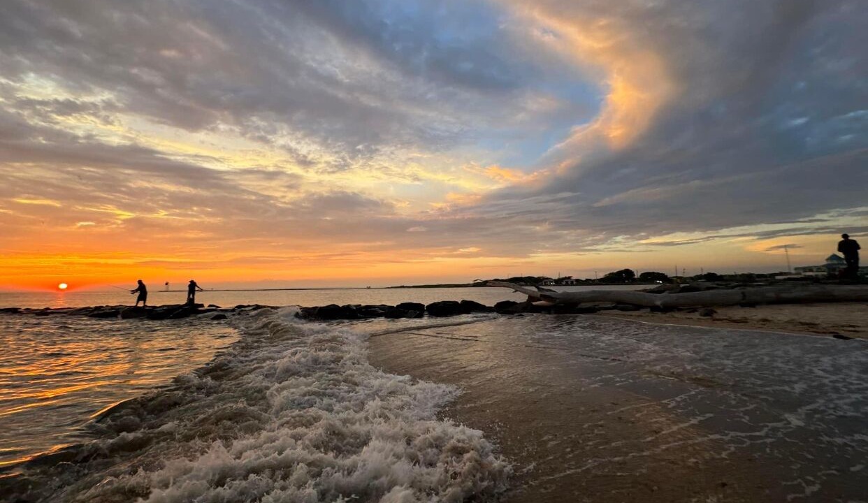 Photo of Others in North Cape May
