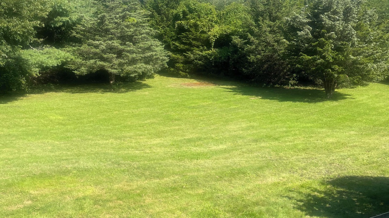 Photo of Outdoor in Hatchville