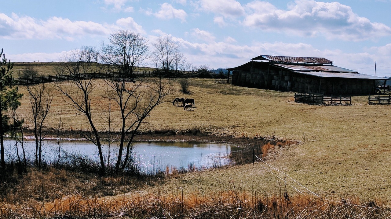 Photo of Outdoor in Nelson