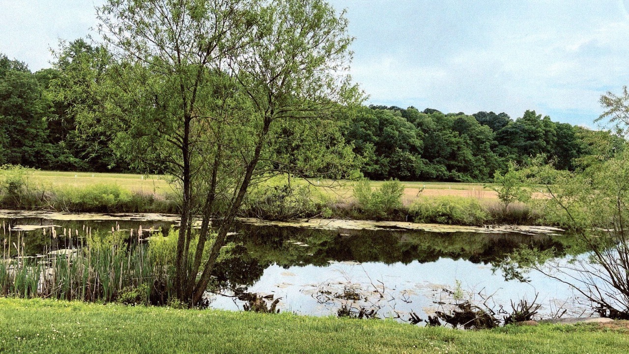 Photo of Outdoor in Delmar