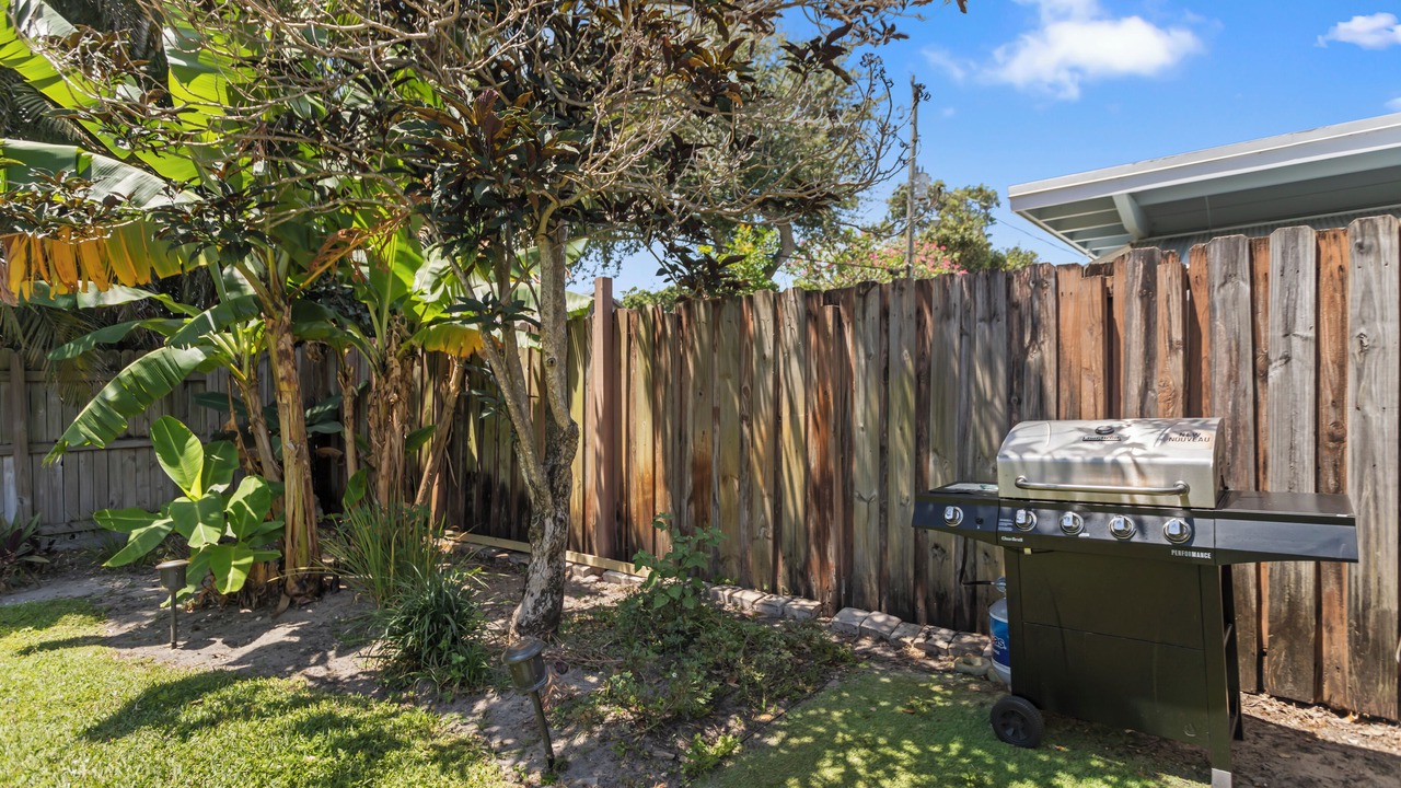Photo of Outdoor in North Andrews Gardens