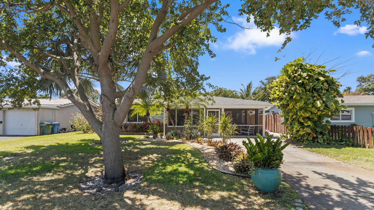 Photo of Outdoor in North Andrews Gardens