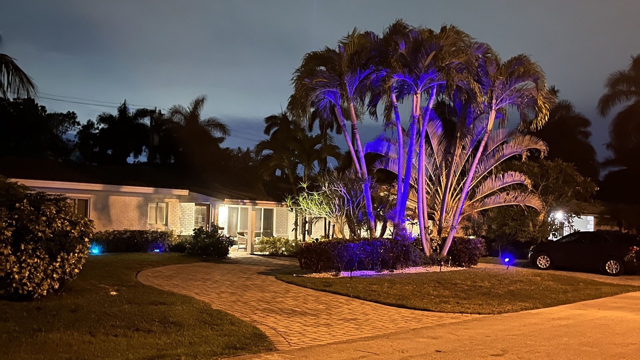 Photo of Others in Dolphin Isles