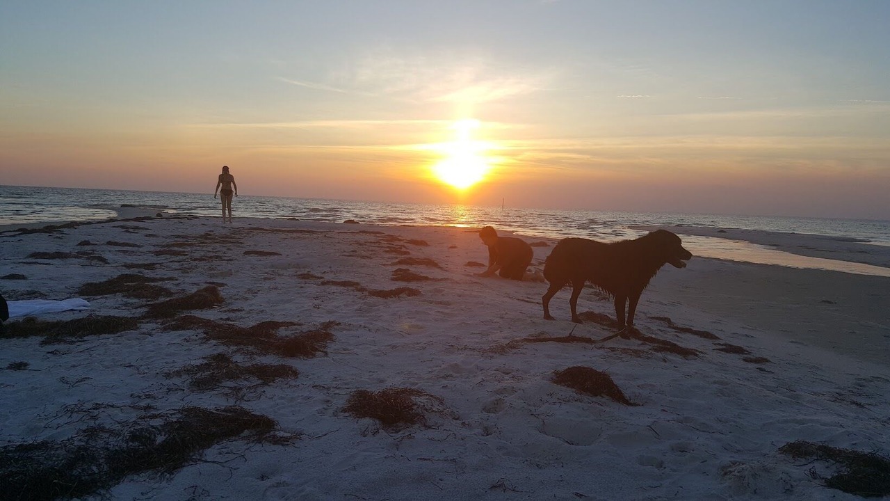 Photo of Others in Belle Haven