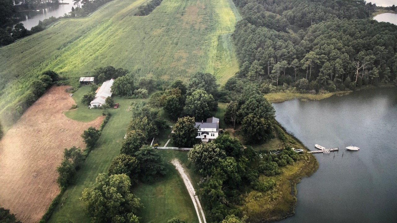 Photo of Outdoor in Belle Haven