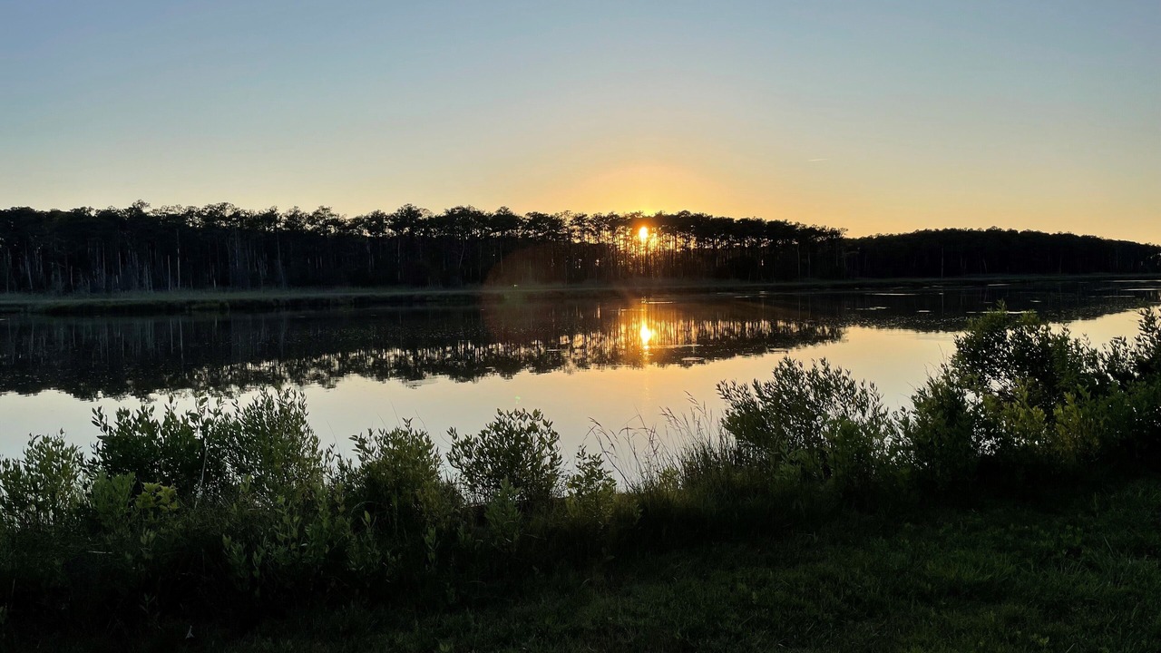 Photo of Others in Taylors Island
