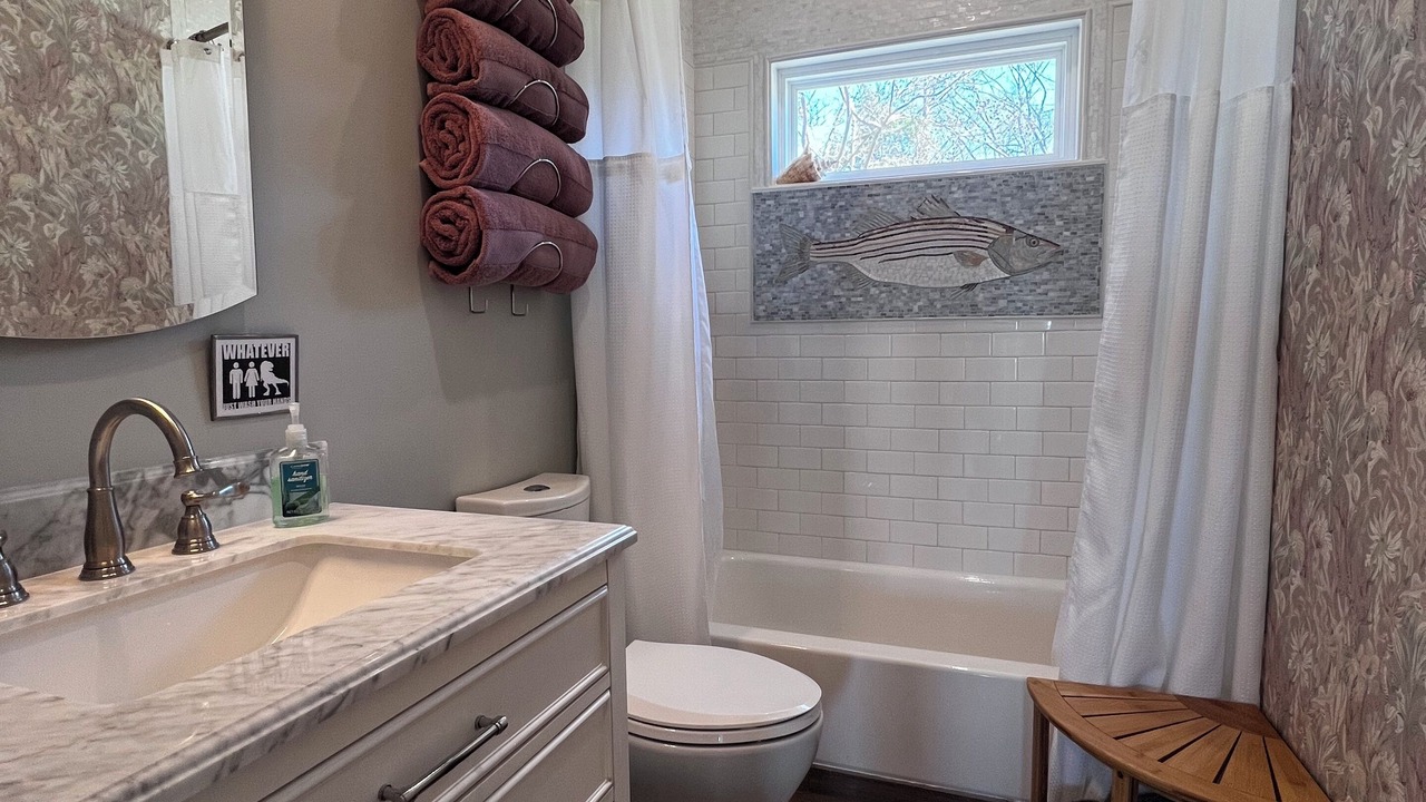 Photo of Bathroom in Stevensville