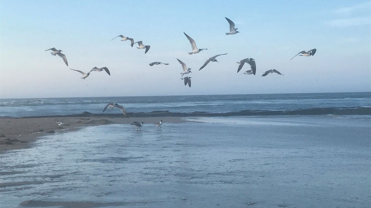 Photo of Others in Clearwater