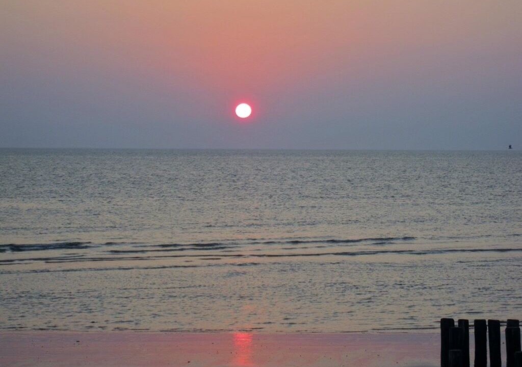 Photo of Others in North Cape May
