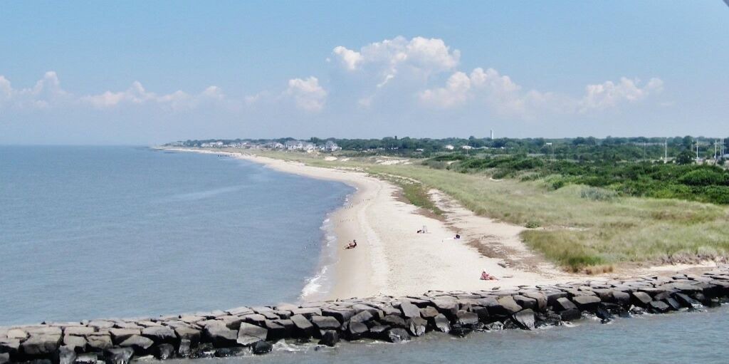 Photo of Others in North Cape May