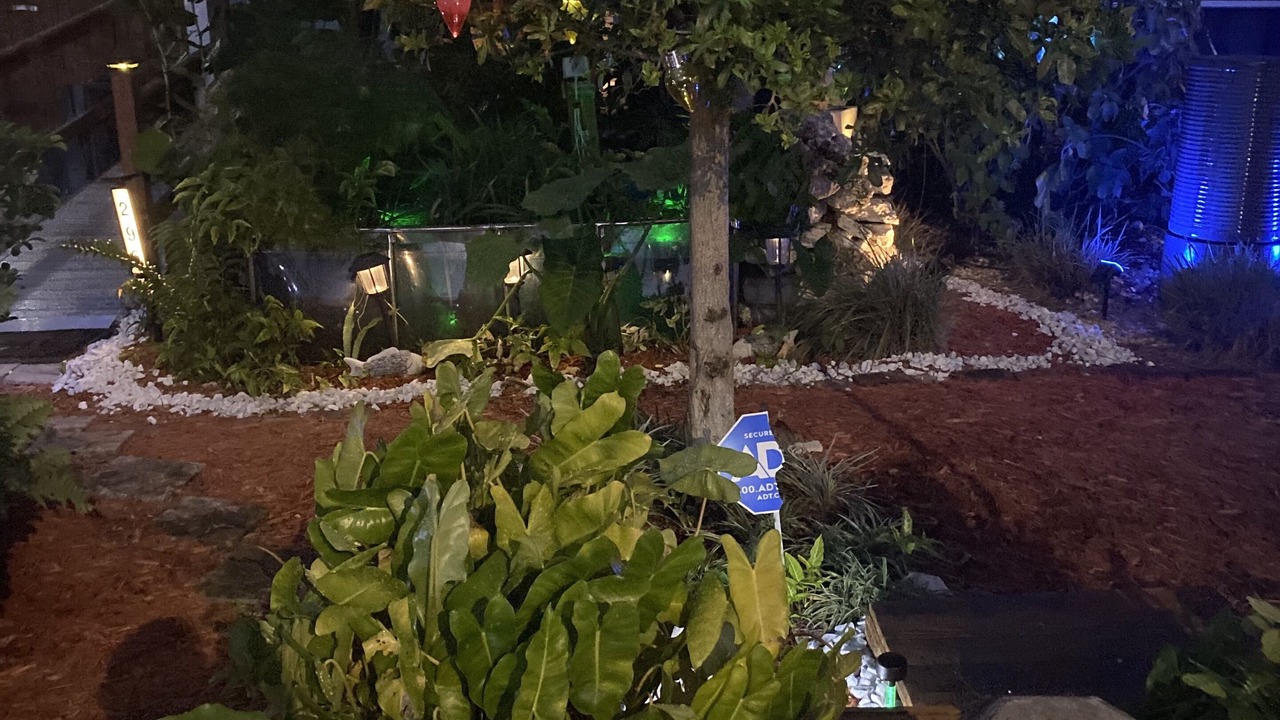 Photo of Outdoor in Deerfield Beach