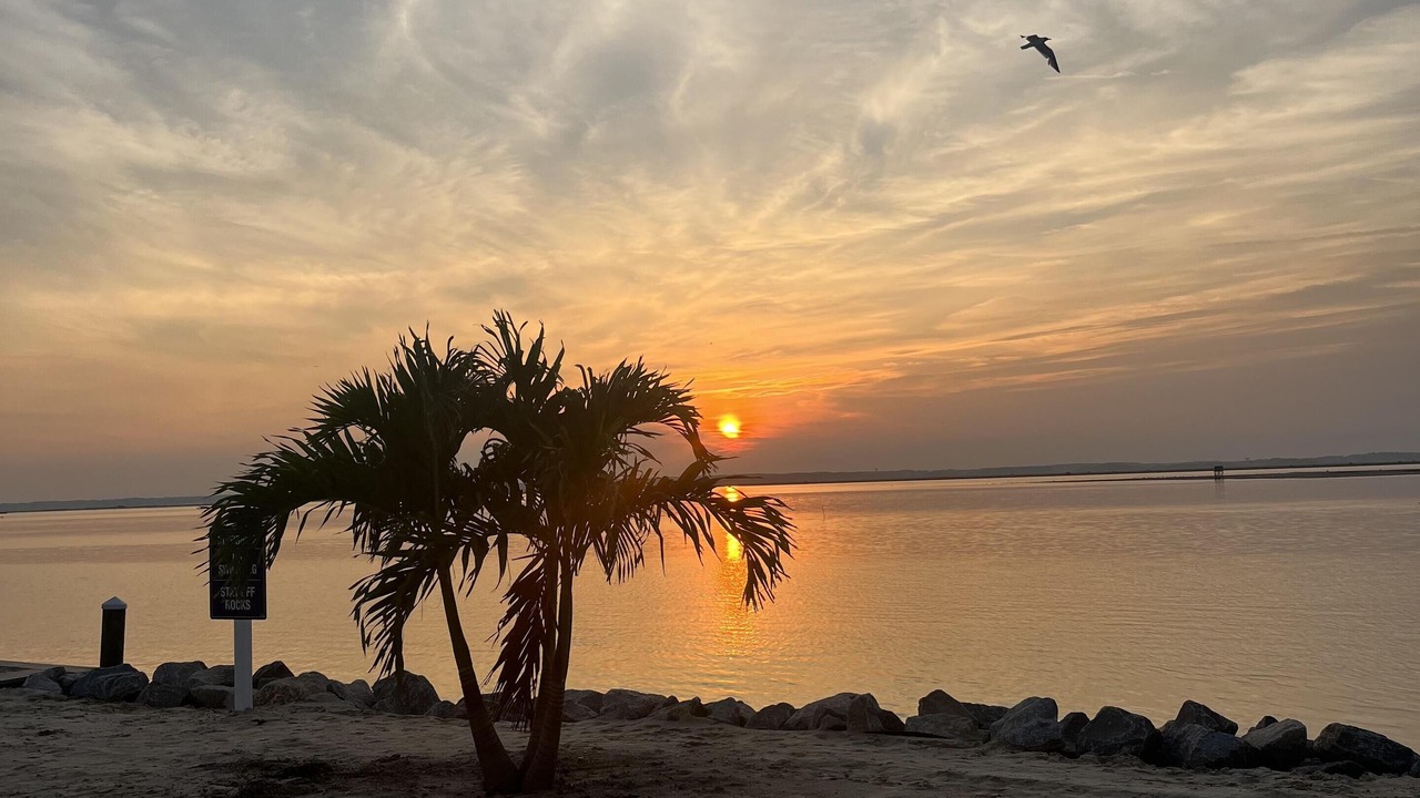 Photo of Outdoor in Chincoteague