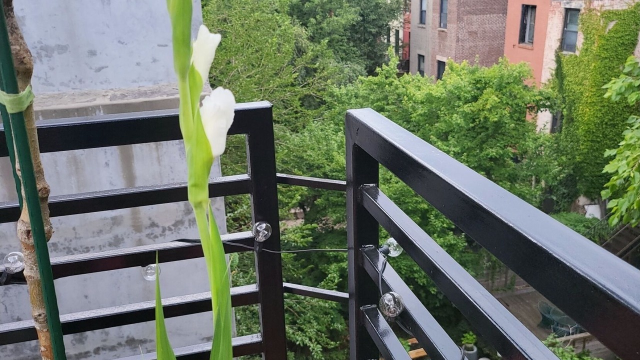 Photo of Outdoor in Central Park North