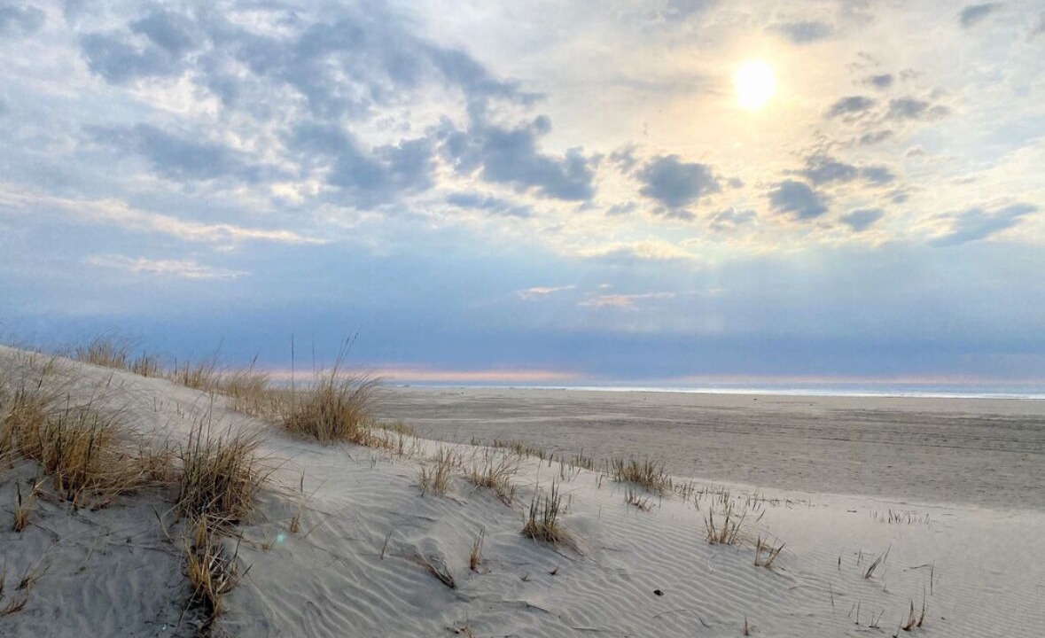 Photo of Others in Wildwood Crest