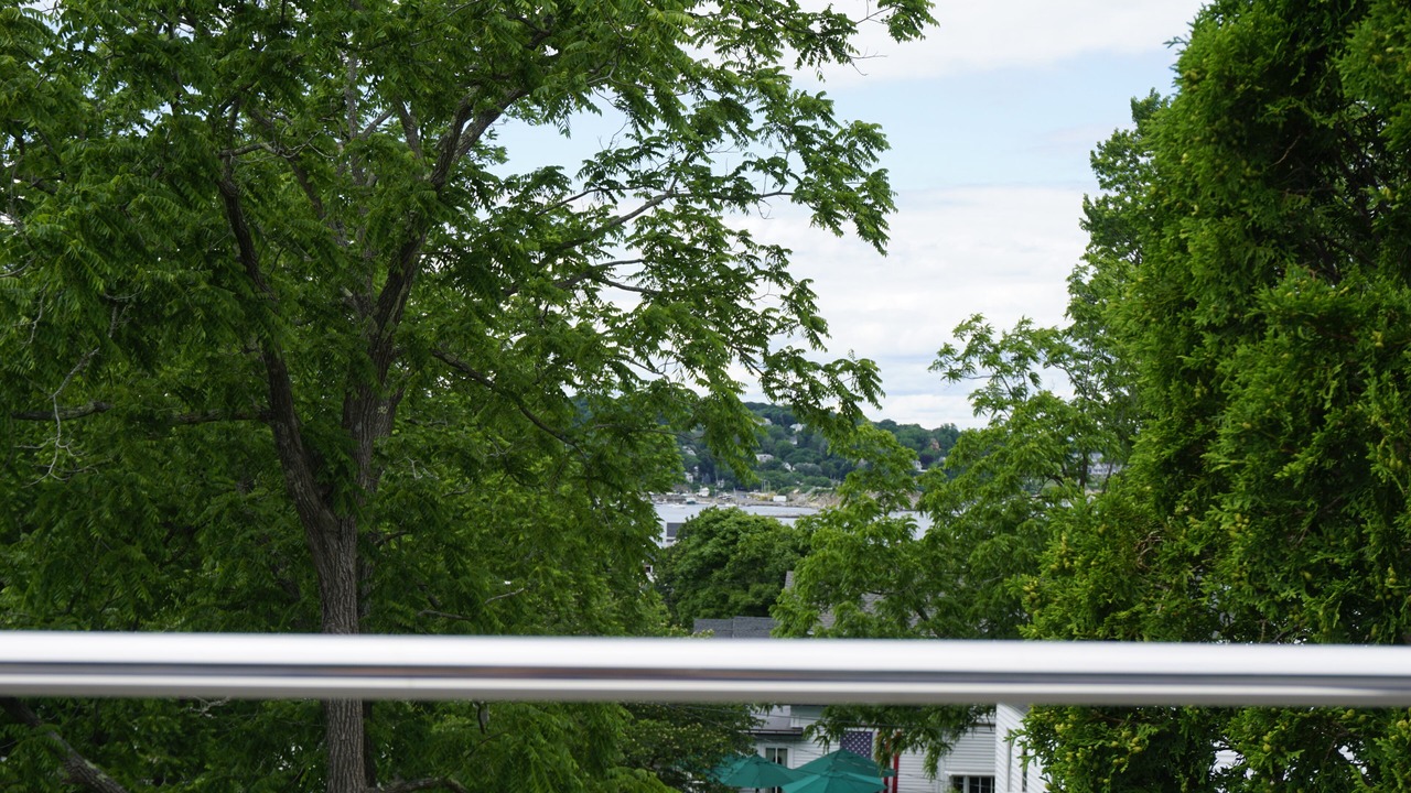 Photo of Others in Rockport