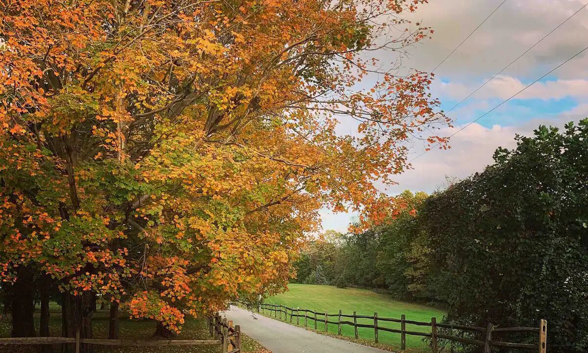 Photo of Outdoor in Betterton