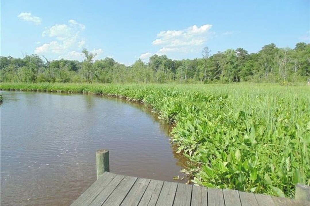 Photo of Outdoor in Stevensville