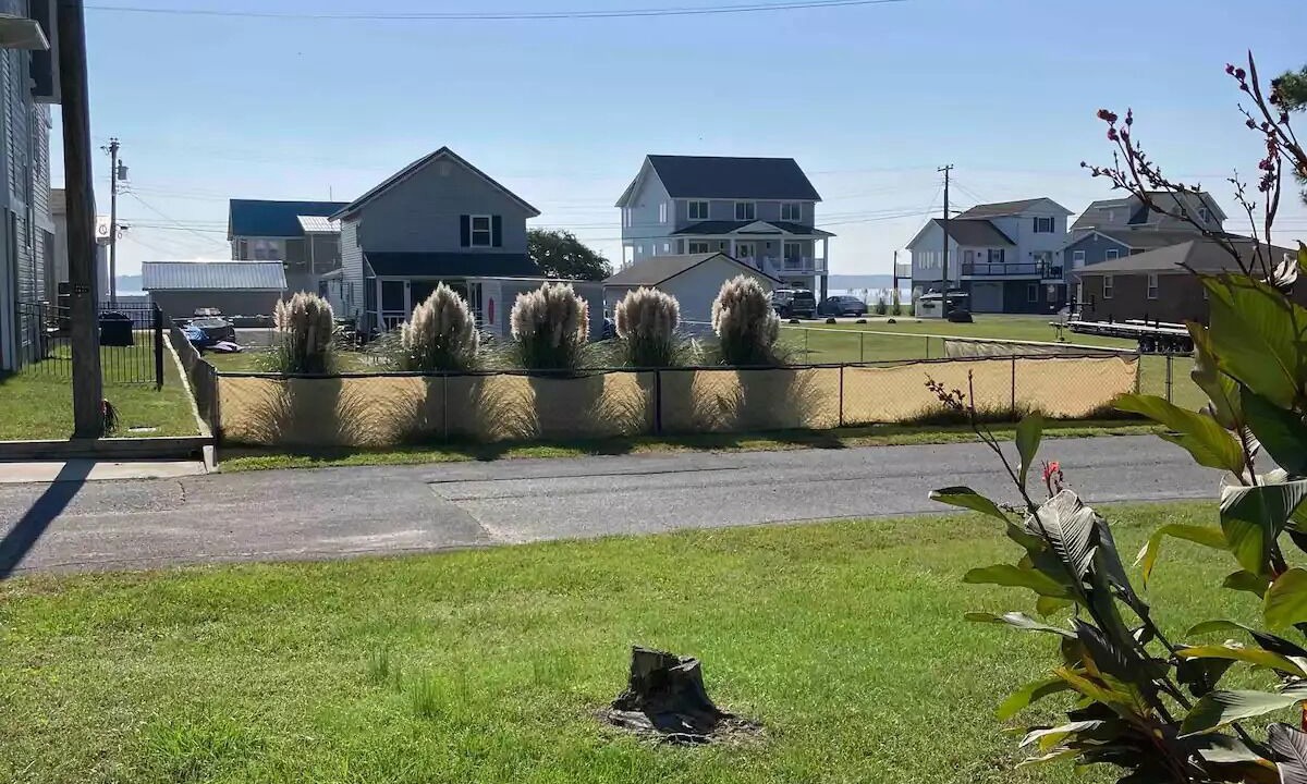 Photo of Outdoor in Long Neck