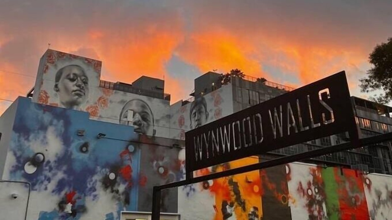 Photo of Others in Wynwood Art District