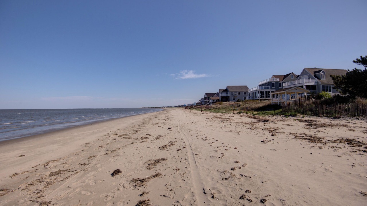 Photo of Others in Prime Hook Beach