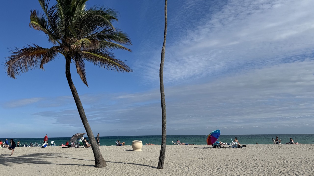 Photo of Others in Royal Poinciana