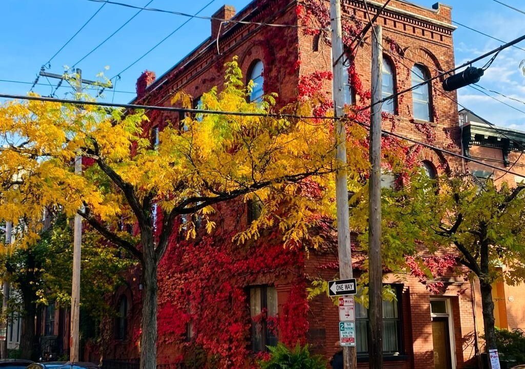 Photo of Outdoor in Albany
