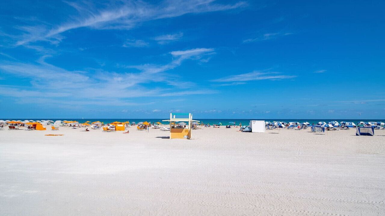 Photo of Others in Flamingo/Lummus