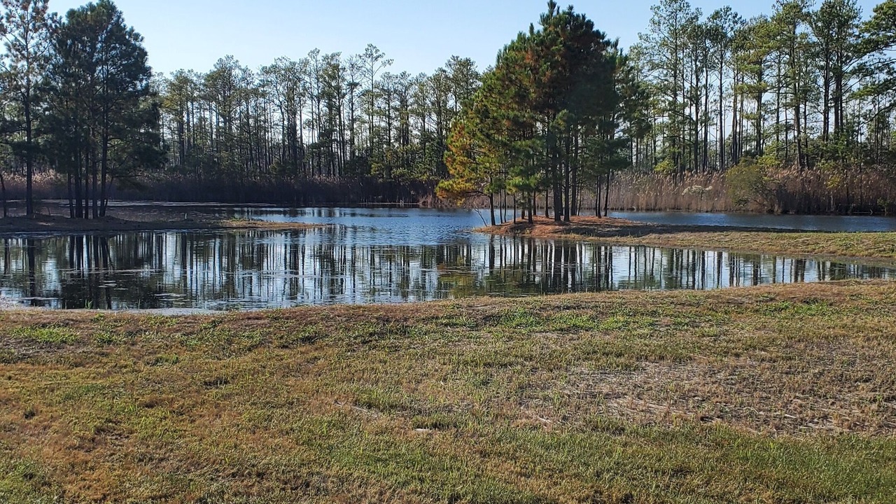 Photo of Outdoor in Crocheron