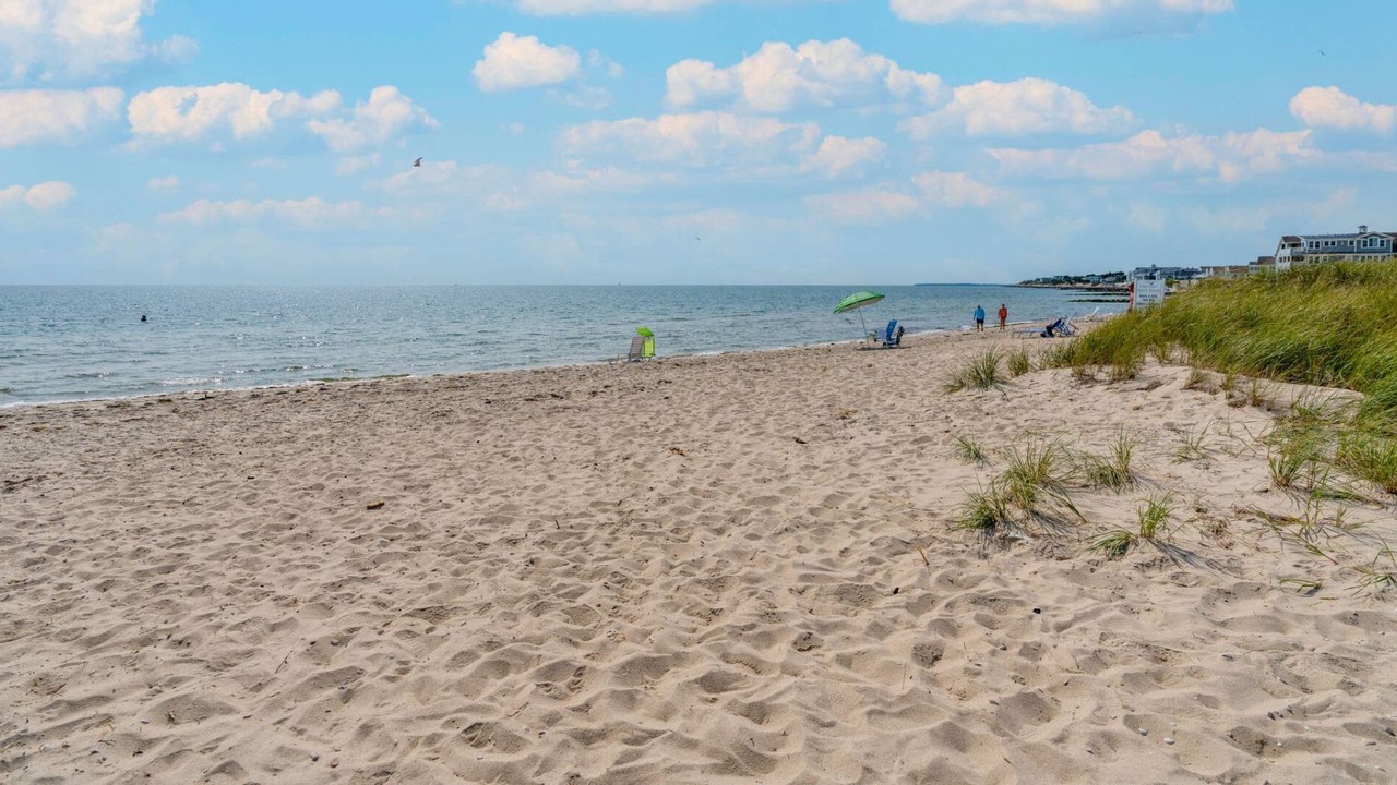 Photo of Others in Northwest Harwich