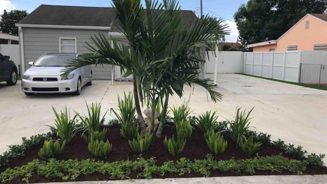 Photo of Outdoor in Hialeah