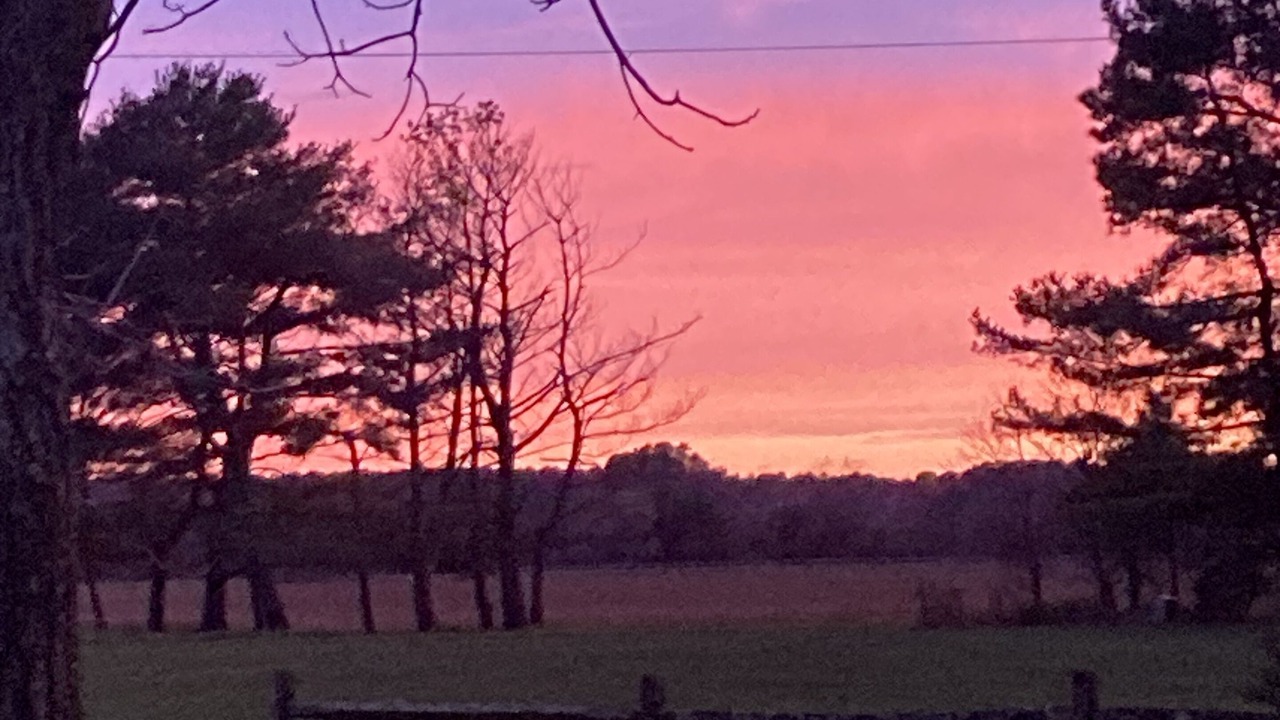 Photo of Outdoor in Tilghman
