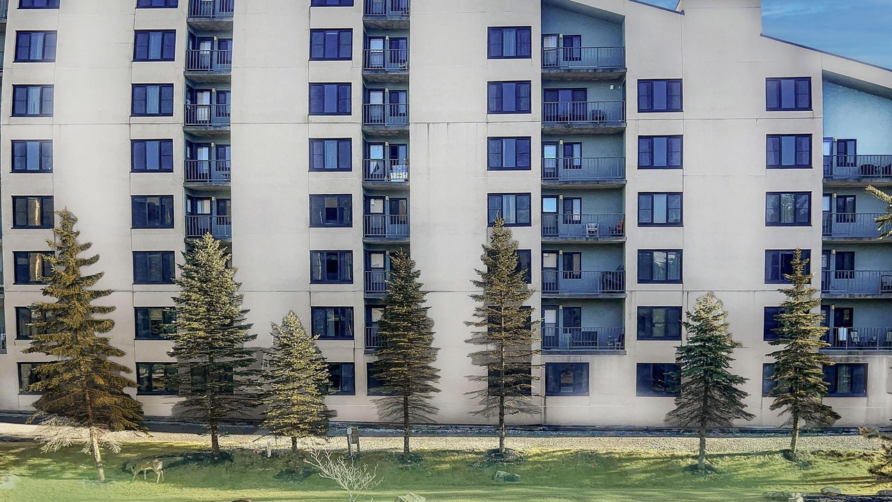Photo of Outdoor in Snowshoe