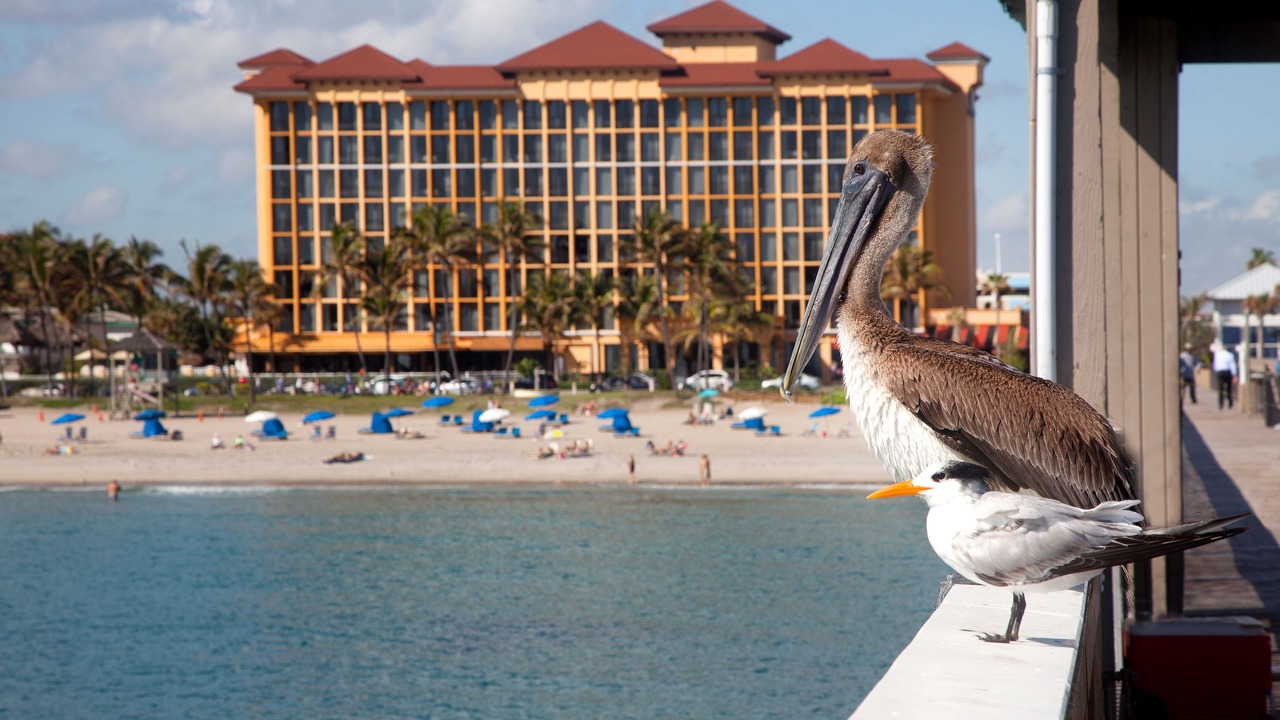 Photo of Outdoor in Deerfield Beach