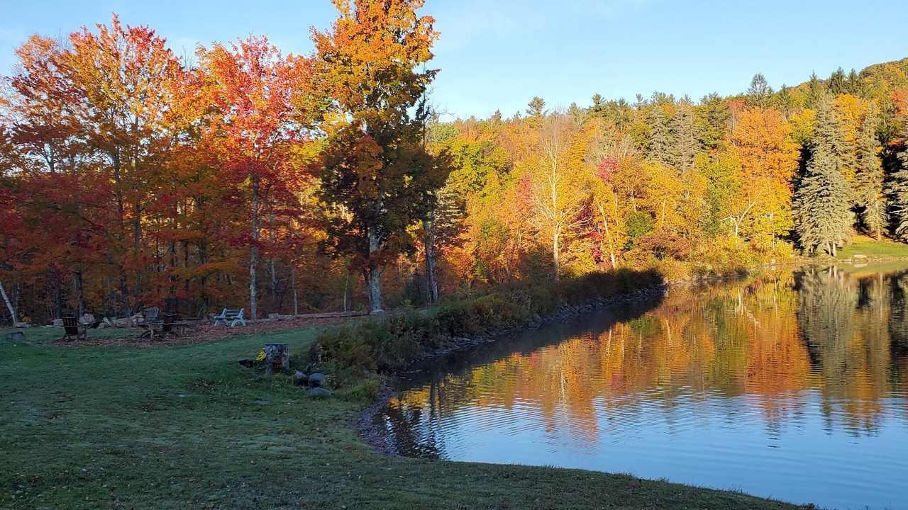 Photo of Outdoor in Windham