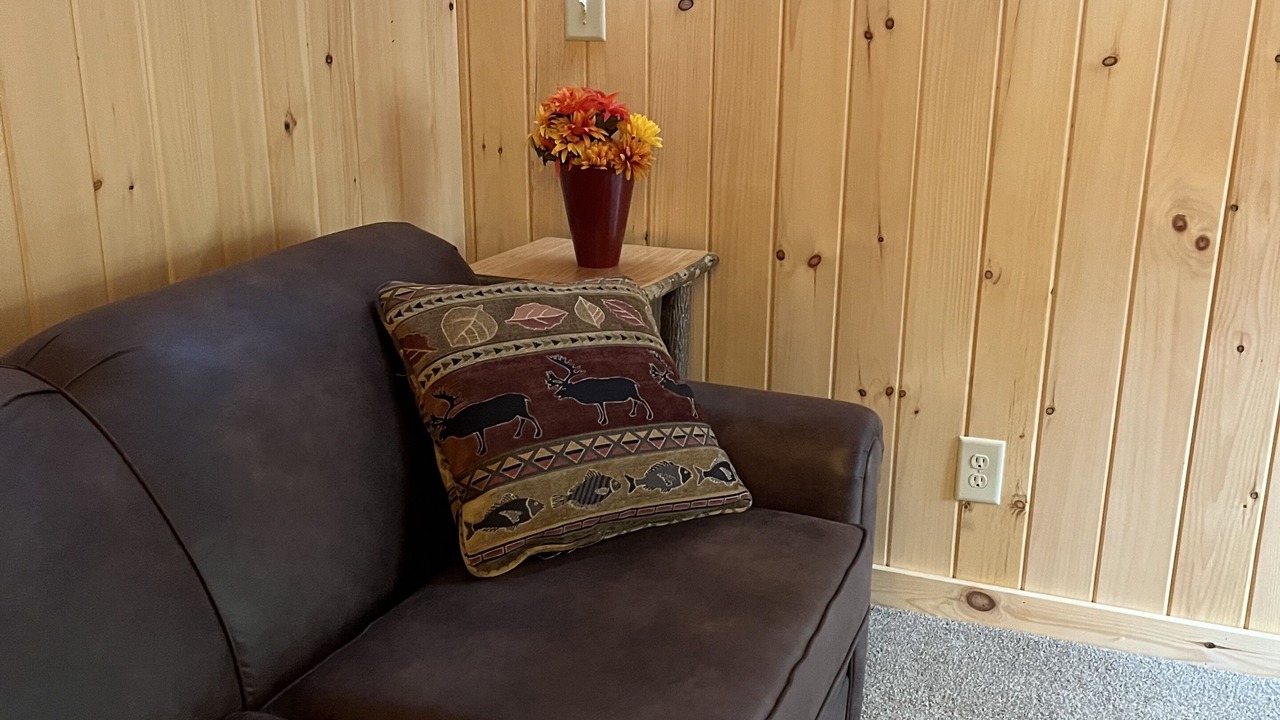 Photo of Livingroom in Indian Lake