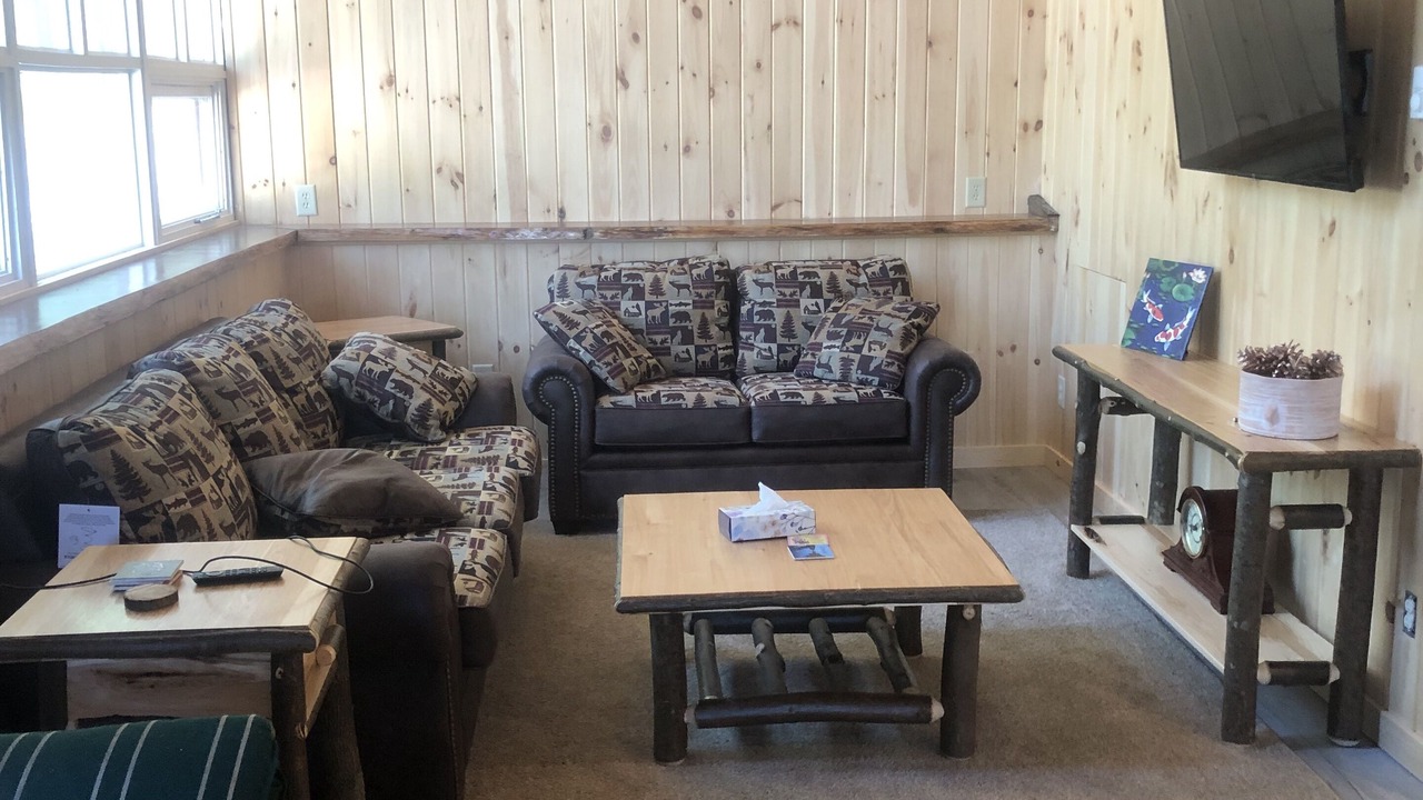 Photo of Livingroom in Indian Lake
