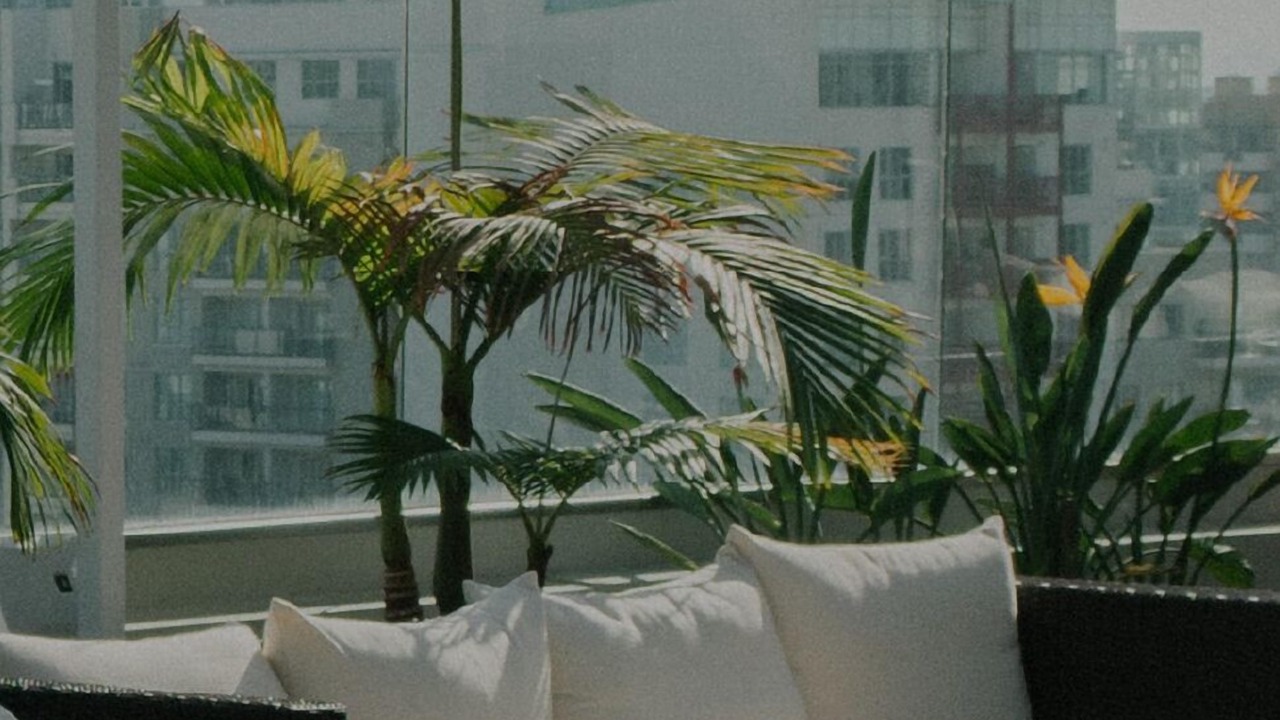 Photo of Outdoor in Lincoln Square