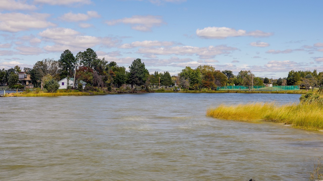 Photo of Outdoor in Rock Point