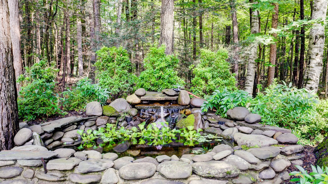 Photo of Others in Woodstock