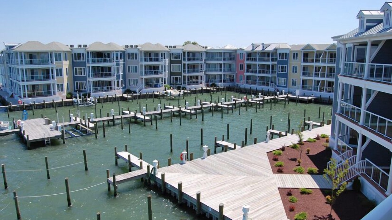 Photo of Others in Chincoteague