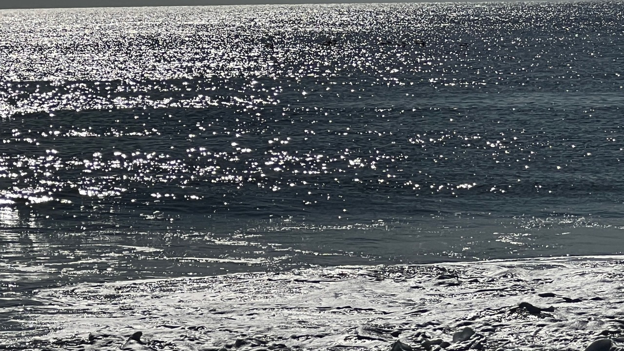 Photo of Others in Rehoboth Beach