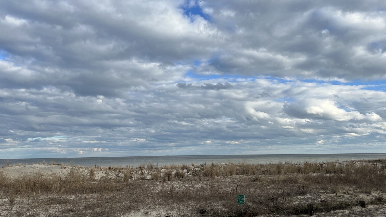 Photo of Others in Rehoboth Beach