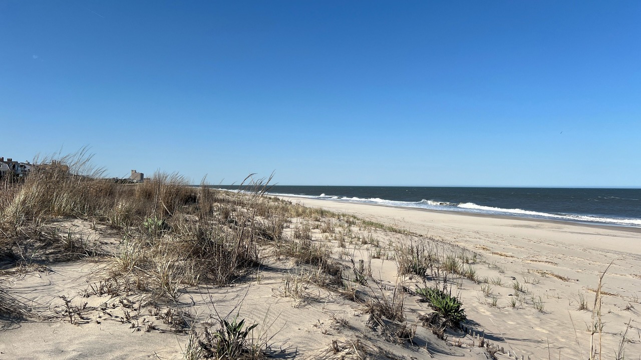 Photo of Others in Rehoboth Beach