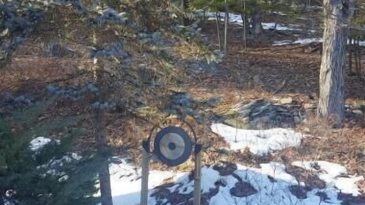 Photo of Outdoor in Town of Olive